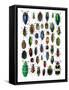 Colorful Design and Pattern of Beetles-Darrell Gulin-Framed Stretched Canvas