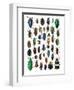 Colorful Design and Pattern of Beetles-Darrell Gulin-Framed Photographic Print