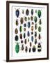 Colorful Design and Pattern of Beetles-Darrell Gulin-Framed Photographic Print