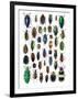 Colorful Design and Pattern of Beetles-Darrell Gulin-Framed Photographic Print