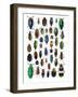 Colorful Design and Pattern of Beetles-Darrell Gulin-Framed Photographic Print