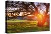 Colorful Diablo Sunscape-Vincent James-Stretched Canvas