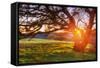 Colorful Diablo Sunscape-Vincent James-Framed Stretched Canvas