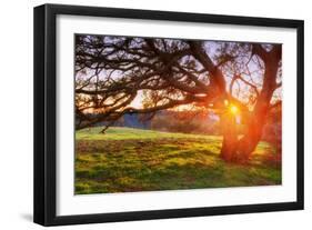 Colorful Diablo Sunscape-Vincent James-Framed Photographic Print