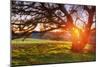 Colorful Diablo Sunscape-Vincent James-Mounted Photographic Print