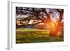 Colorful Diablo Sunscape-Vincent James-Framed Photographic Print