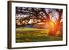 Colorful Diablo Sunscape-Vincent James-Framed Photographic Print