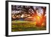 Colorful Diablo Sunscape-Vincent James-Framed Photographic Print