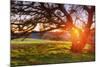 Colorful Diablo Sunscape-Vincent James-Mounted Photographic Print