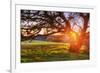 Colorful Diablo Sunscape-Vincent James-Framed Photographic Print