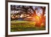 Colorful Diablo Sunscape-Vincent James-Framed Photographic Print