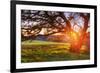 Colorful Diablo Sunscape-Vincent James-Framed Photographic Print