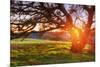 Colorful Diablo Sunscape-Vincent James-Mounted Photographic Print