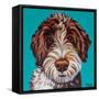 Colorful Doodle-Carolee Vitaletti-Framed Stretched Canvas