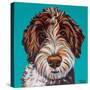 Colorful Doodle-Carolee Vitaletti-Stretched Canvas