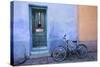 Colorful Doorway, Barrio Historico District,Tucson, Arizona, USA-Jamie & Judy Wild-Stretched Canvas