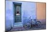 Colorful Doorway, Barrio Historico District,Tucson, Arizona, USA-Jamie & Judy Wild-Mounted Photographic Print