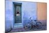 Colorful Doorway, Barrio Historico District,Tucson, Arizona, USA-Jamie & Judy Wild-Mounted Photographic Print