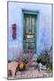 Colorful Doorway in the Barrio Viejo District of Tucson, Arizona, Usa-Chuck Haney-Mounted Photographic Print
