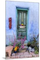 Colorful Doorway in the Barrio Viejo District of Tucson, Arizona, Usa-Chuck Haney-Mounted Premium Photographic Print