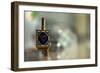 Colorful Dreidel-null-Framed Photo