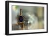 Colorful Dreidel-null-Framed Photo