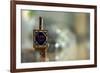 Colorful Dreidel-null-Framed Photo