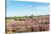 Colorful Dune Landscape-Ruud Morijn-Stretched Canvas