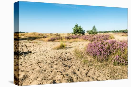 Colorful Dune Landscape-Ruud Morijn-Stretched Canvas