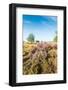 Colorful Dune Landscape-Ruud Morijn-Framed Photographic Print