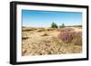 Colorful Dune Landscape-Ruud Morijn-Framed Photographic Print