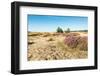 Colorful Dune Landscape-Ruud Morijn-Framed Photographic Print