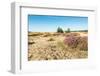 Colorful Dune Landscape-Ruud Morijn-Framed Photographic Print