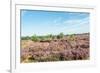 Colorful Dune Landscape-Ruud Morijn-Framed Photographic Print