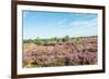 Colorful Dune Landscape-Ruud Morijn-Framed Photographic Print