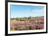 Colorful Dune Landscape-Ruud Morijn-Framed Photographic Print