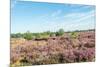 Colorful Dune Landscape-Ruud Morijn-Mounted Photographic Print