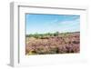 Colorful Dune Landscape-Ruud Morijn-Framed Photographic Print