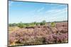 Colorful Dune Landscape-Ruud Morijn-Mounted Photographic Print