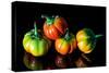 Colorful Eggplant Vegetable on Black Background-pritsadee-Stretched Canvas