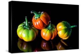 Colorful Eggplant Vegetable on Black Background-pritsadee-Stretched Canvas