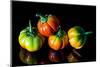 Colorful Eggplant Vegetable on Black Background-pritsadee-Mounted Photographic Print
