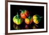 Colorful Eggplant Vegetable on Black Background-pritsadee-Framed Photographic Print