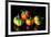 Colorful Eggplant Vegetable on Black Background-pritsadee-Framed Photographic Print