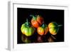 Colorful Eggplant Vegetable on Black Background-pritsadee-Framed Photographic Print