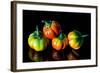 Colorful Eggplant Vegetable on Black Background-pritsadee-Framed Photographic Print