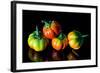 Colorful Eggplant Vegetable on Black Background-pritsadee-Framed Photographic Print