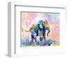 Colorful Elephant-Sarah Stribbling-Framed Art Print