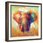 Colorful Elephant-Leon Devenice-Framed Art Print