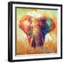 Colorful Elephant-Leon Devenice-Framed Art Print